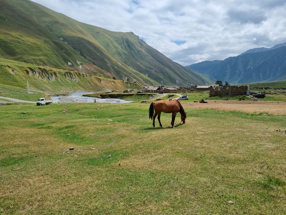 horse riding at trusu valley