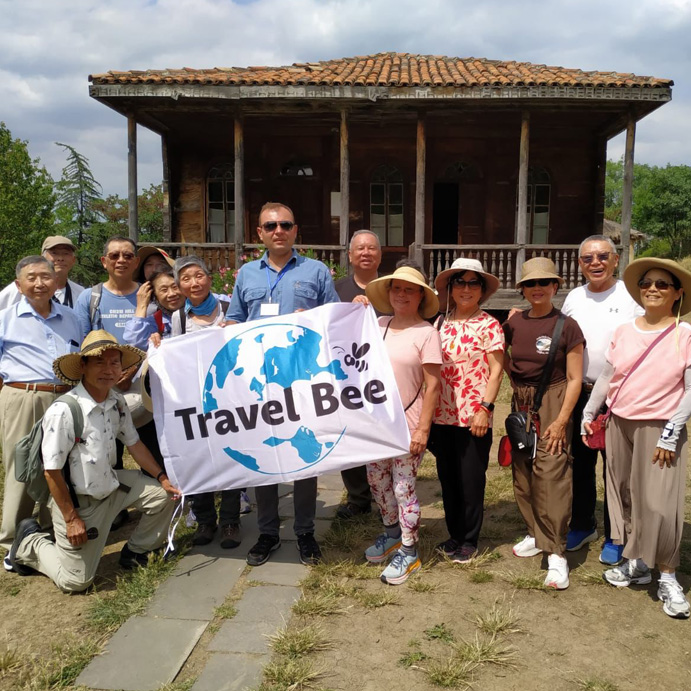 review travel bee georgia 5